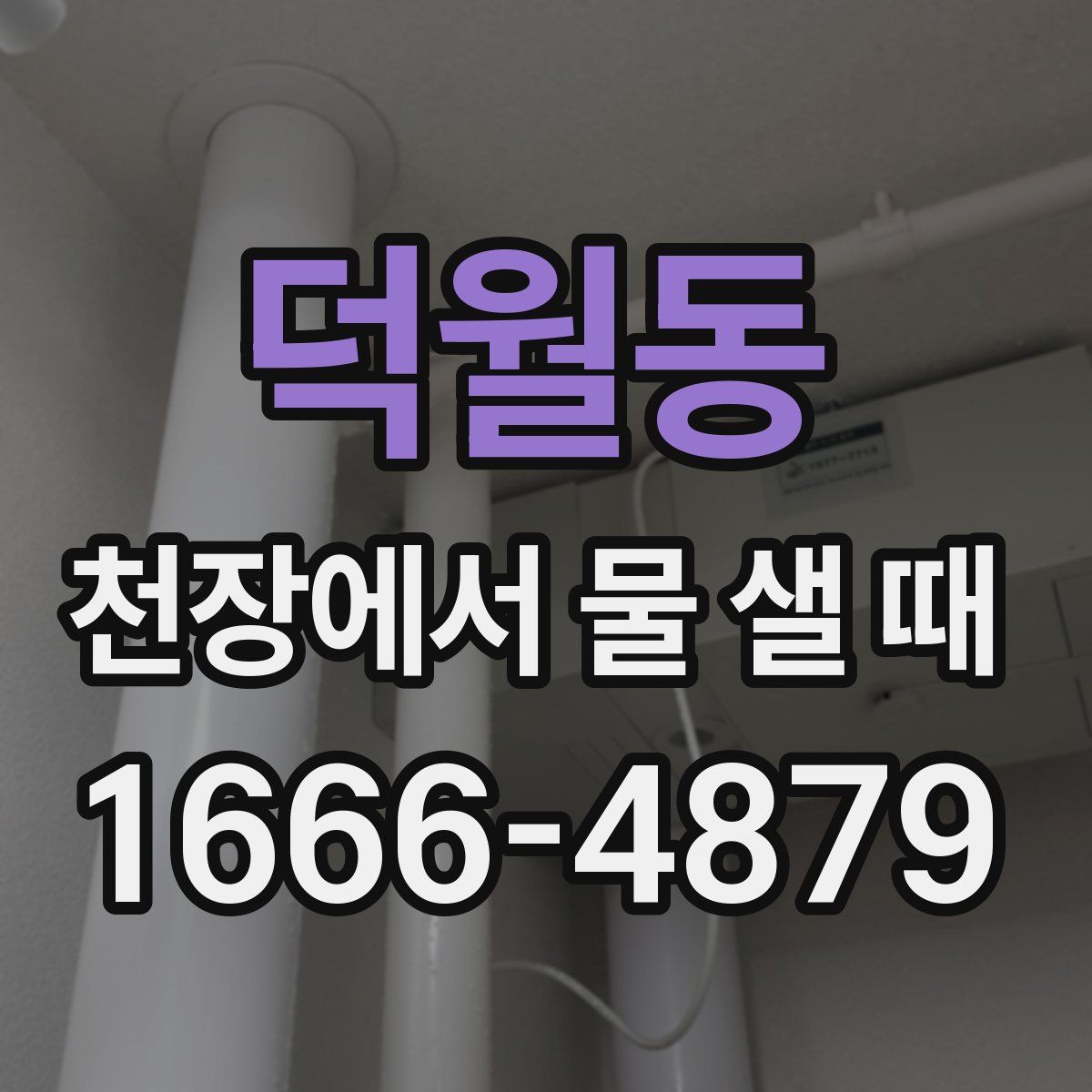 덕월동 천장에서 물 샐 때