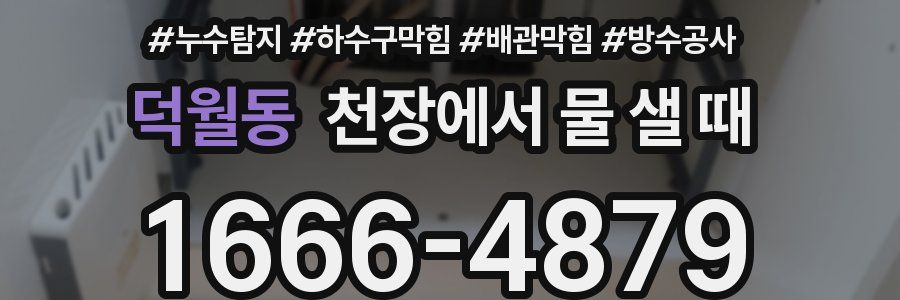 덕월동 천장에서 물 샐 때