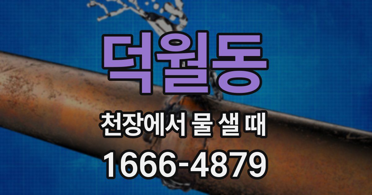 덕월동 천장에서 물 샐 때