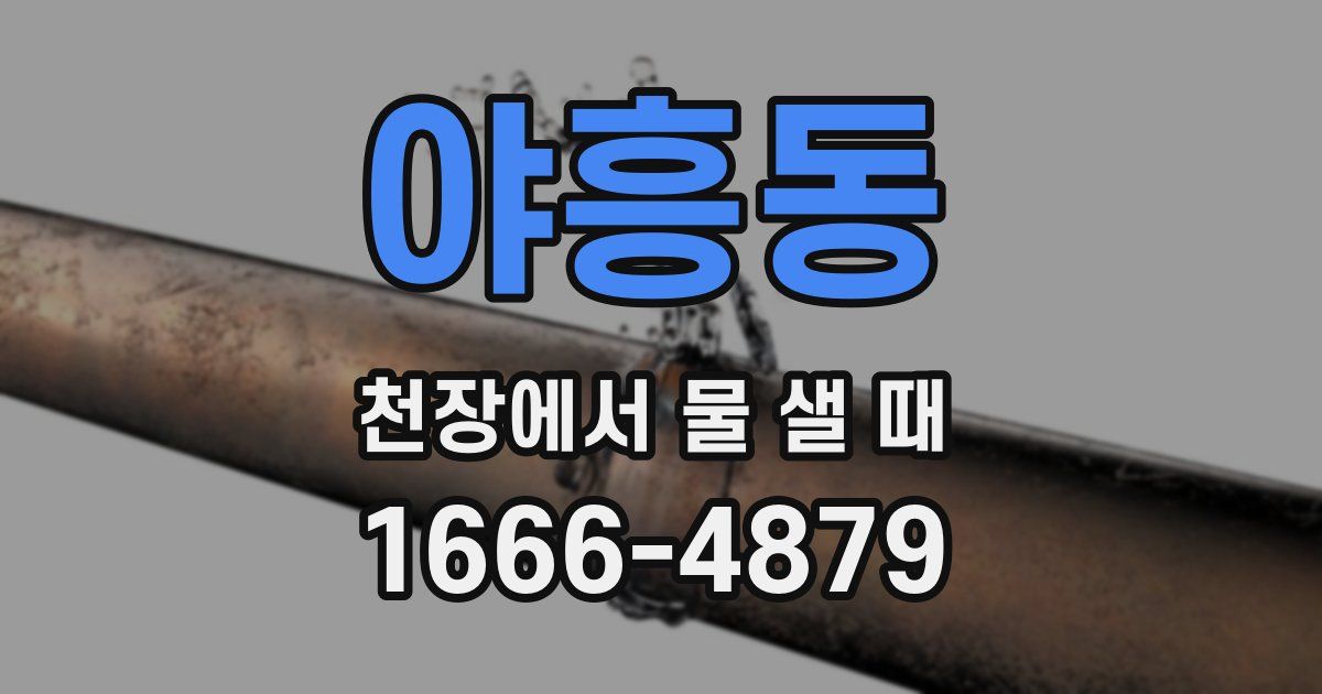 야흥동 천장에서 물 샐 때