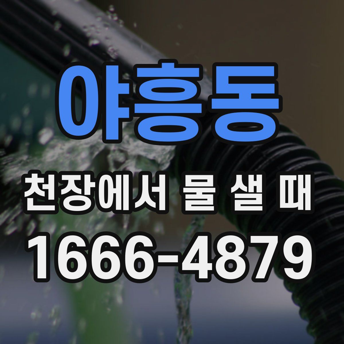 야흥동 천장에서 물 샐 때