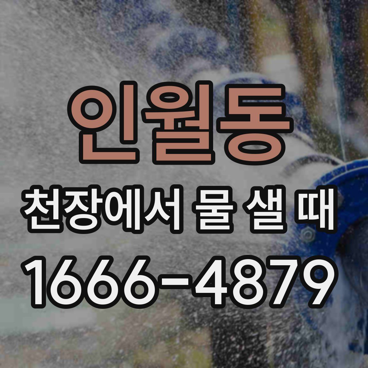 인월동 천장에서 물 샐 때