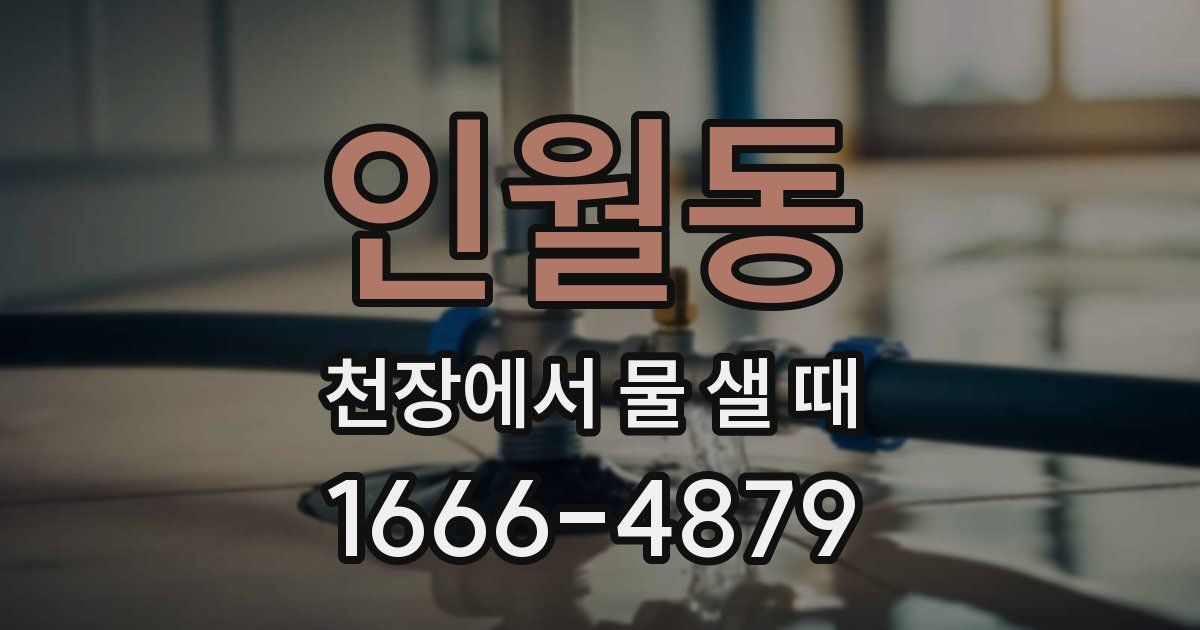 인월동 천장에서 물 샐 때
