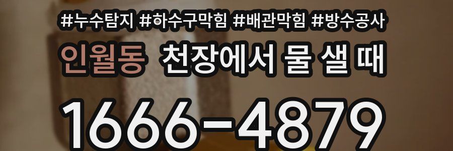 인월동 천장에서 물 샐 때