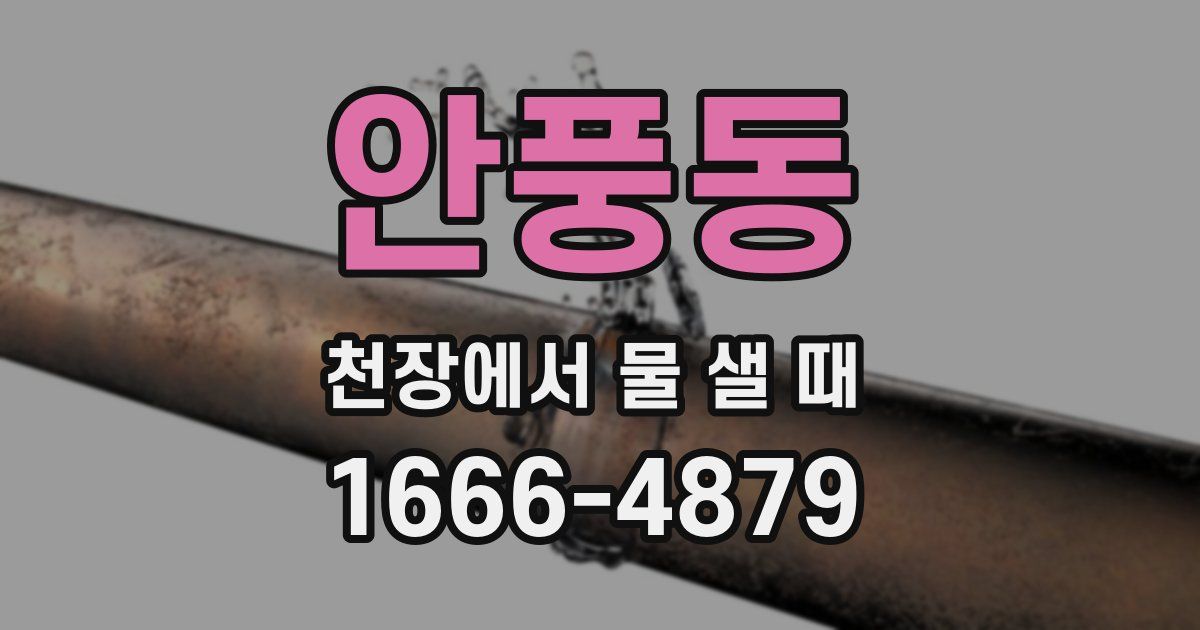 안풍동 천장에서 물 샐 때