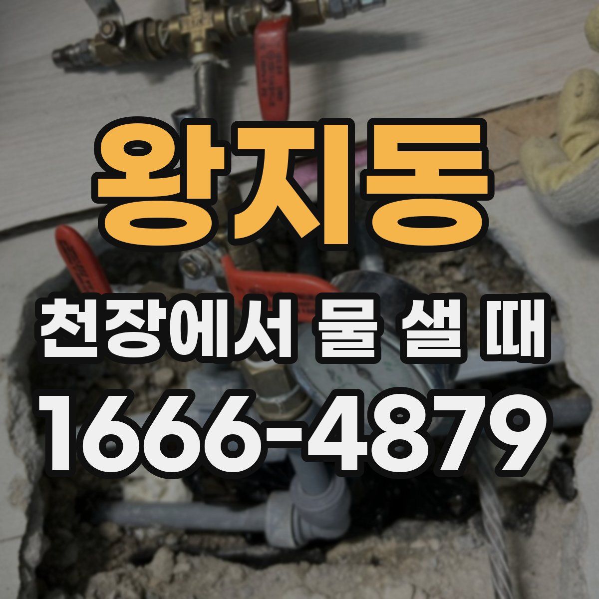 왕지동 천장에서 물 샐 때