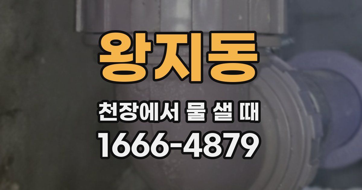 왕지동 천장에서 물 샐 때