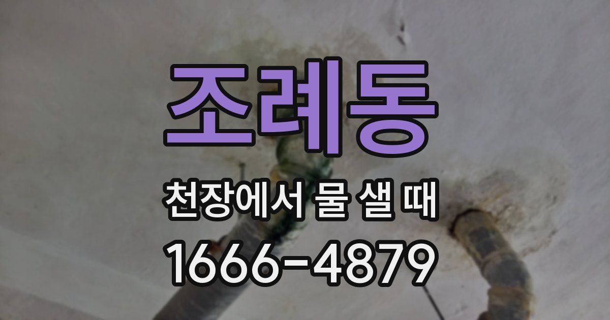 조례동 천장에서 물 샐 때