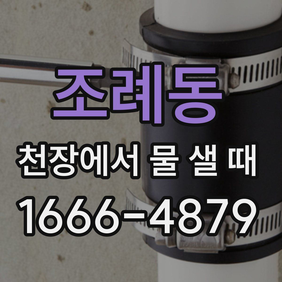 조례동 천장에서 물 샐 때