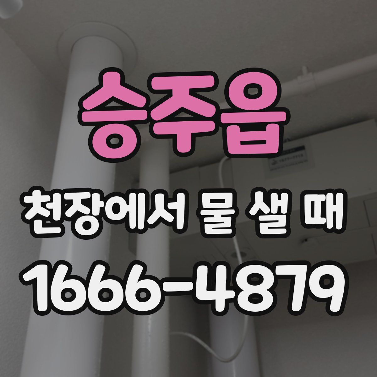 승주읍 천장에서 물 샐 때