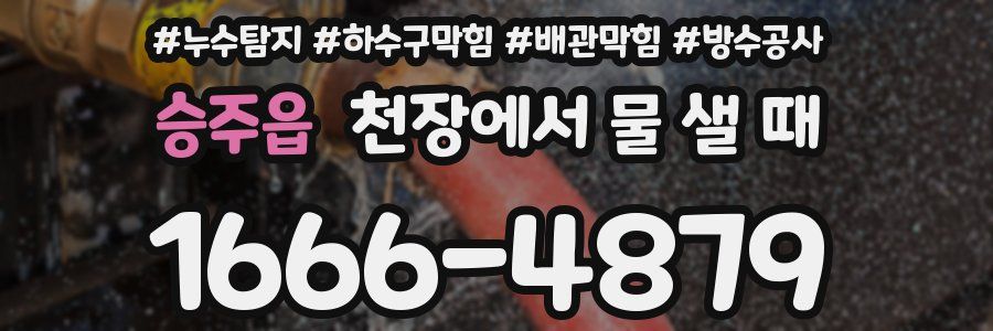 승주읍 천장에서 물 샐 때