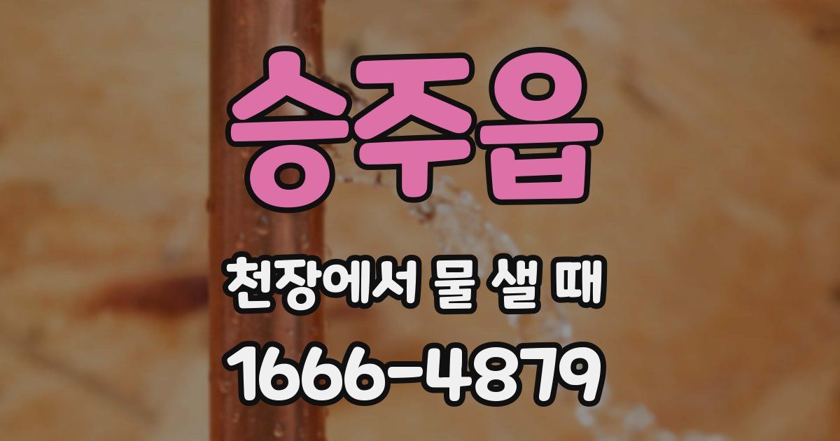 승주읍 천장에서 물 샐 때