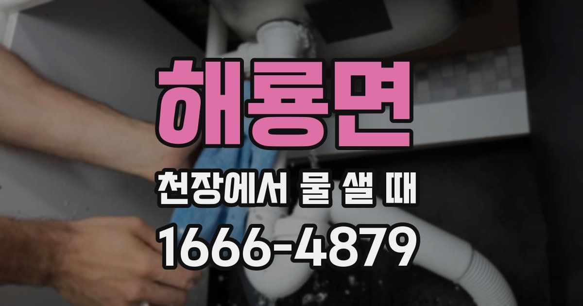 해룡면 천장에서 물 샐 때
