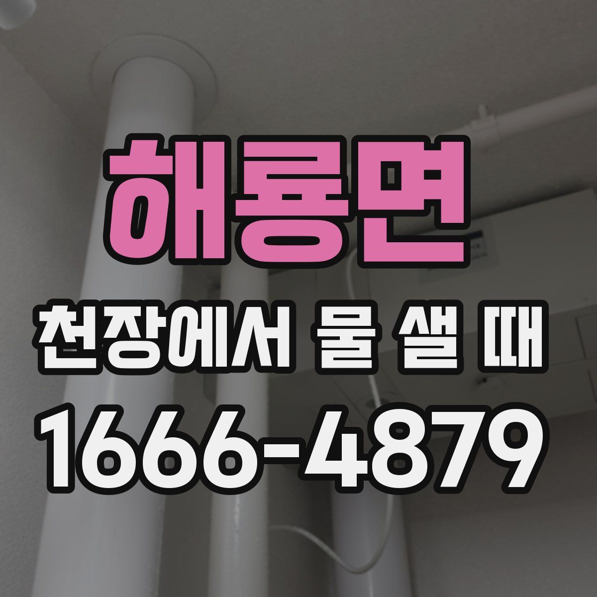 해룡면 천장에서 물 샐 때
