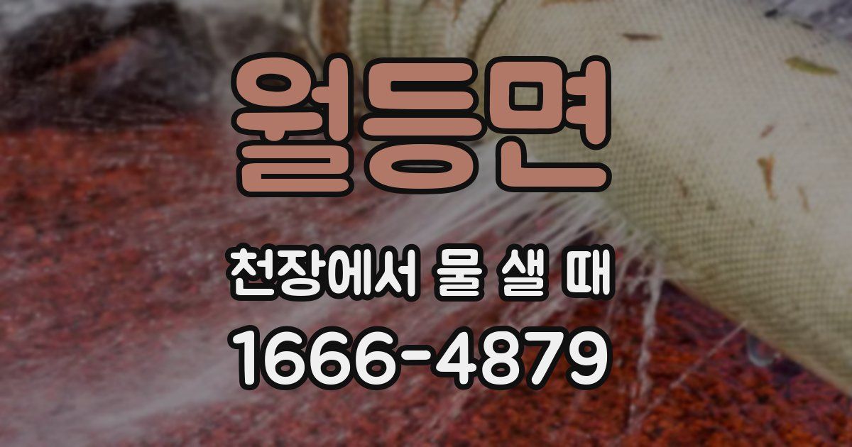 월등면 천장에서 물 샐 때