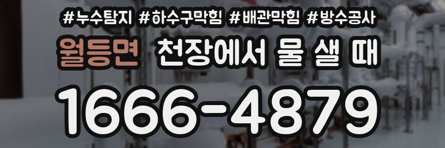 월등면 천장에서 물 샐 때