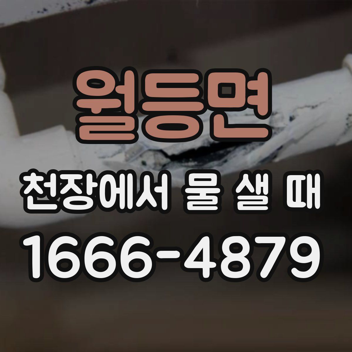 월등면 천장에서 물 샐 때