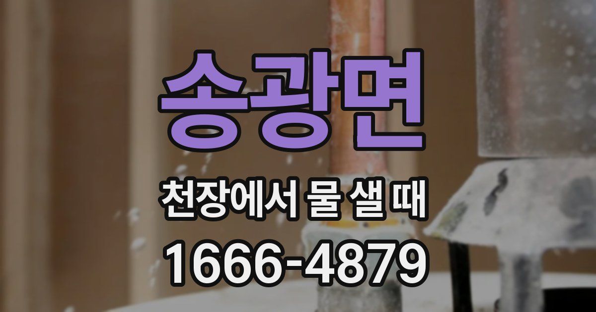 송광면 천장에서 물 샐 때