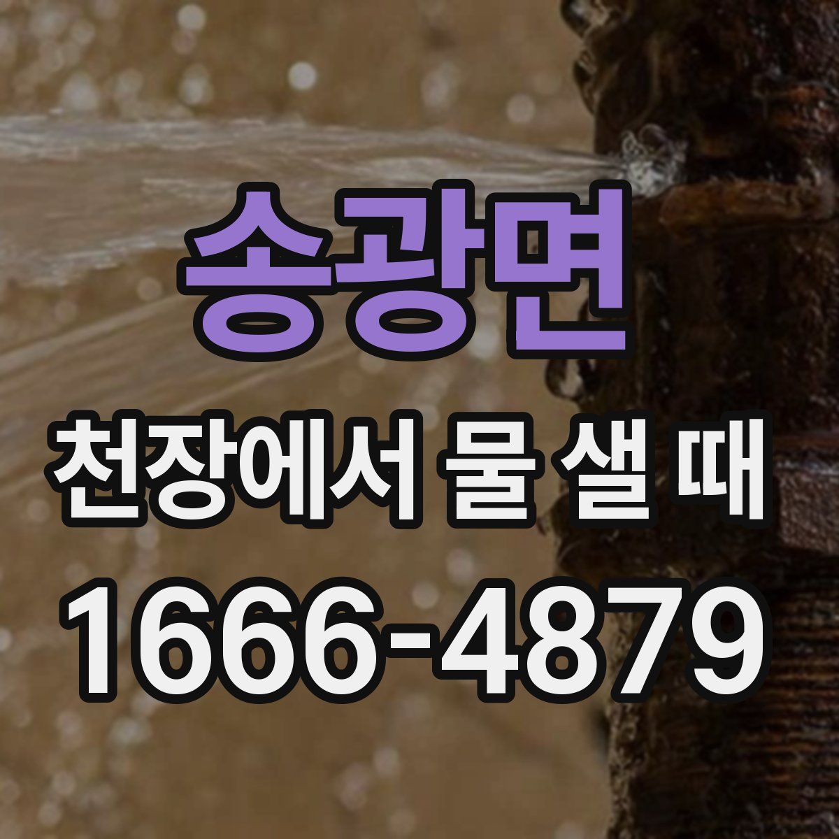 송광면 천장에서 물 샐 때