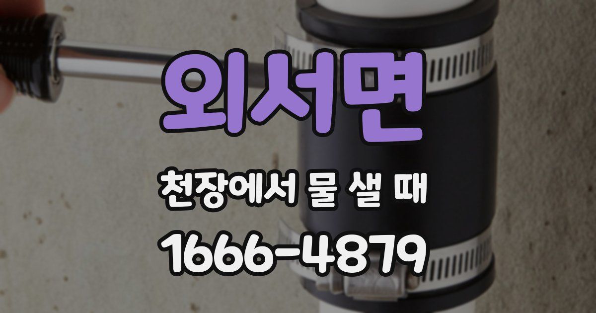 외서면 천장에서 물 샐 때