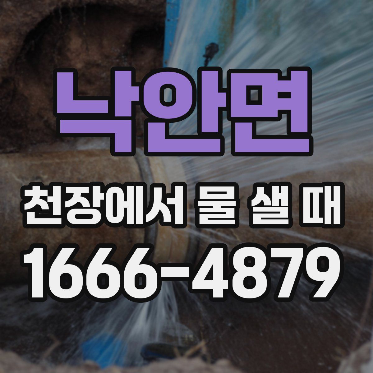 낙안면 천장에서 물 샐 때
