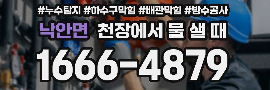낙안면 천장에서 물 샐 때