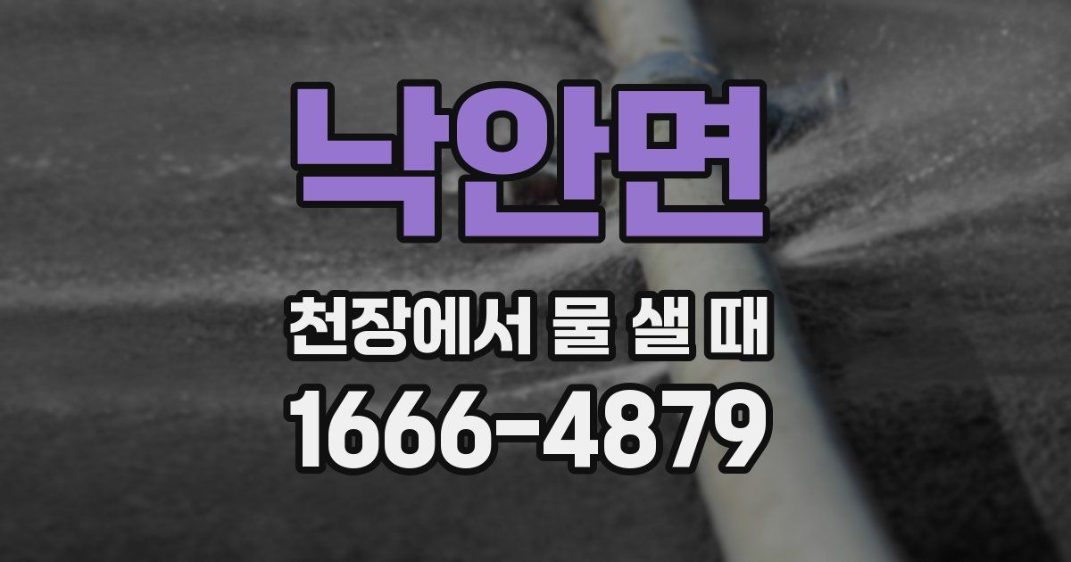 낙안면 천장에서 물 샐 때