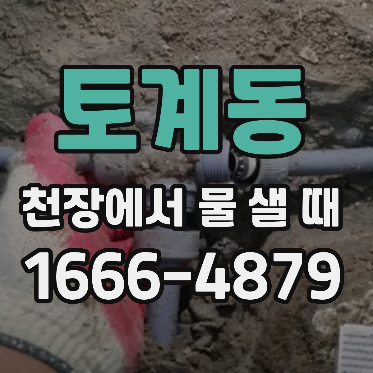 토계동 천장에서 물 샐 때