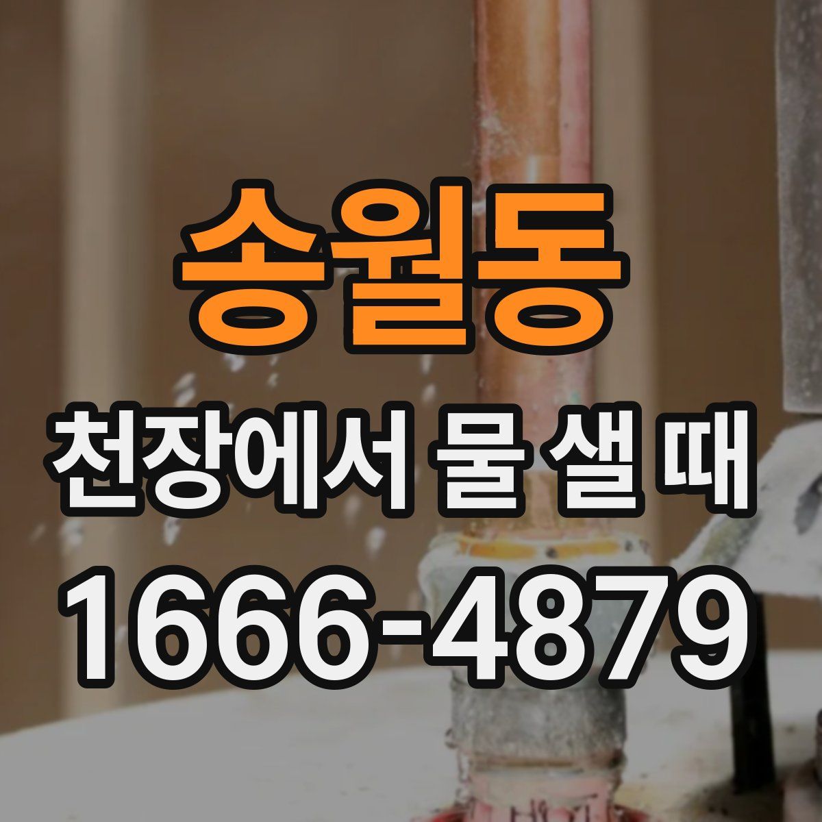 송월동 천장에서 물 샐 때