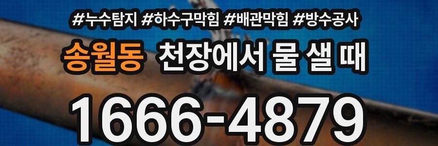 송월동 천장에서 물 샐 때
