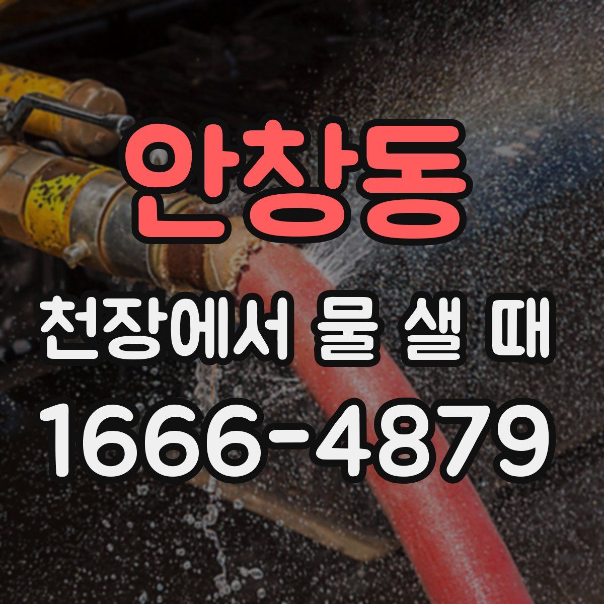 안창동 천장에서 물 샐 때