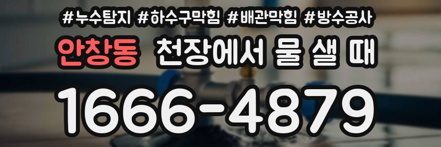 안창동 천장에서 물 샐 때