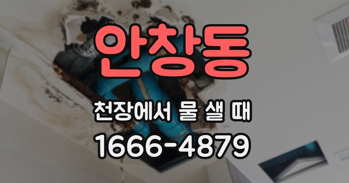 안창동 천장에서 물 샐 때