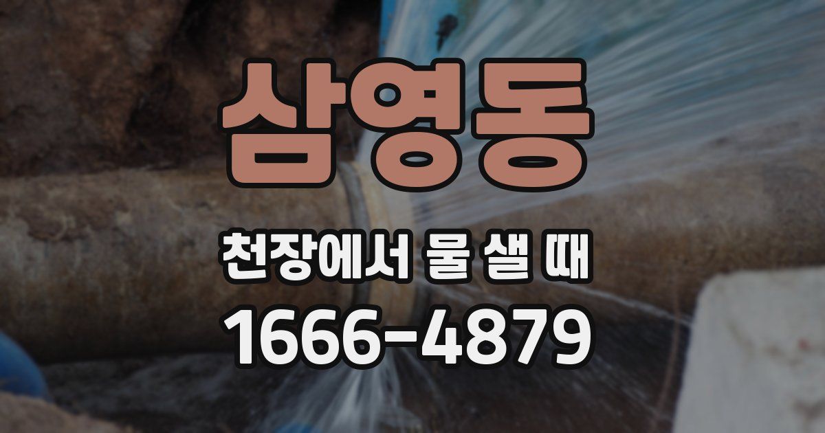 삼영동 천장에서 물 샐 때