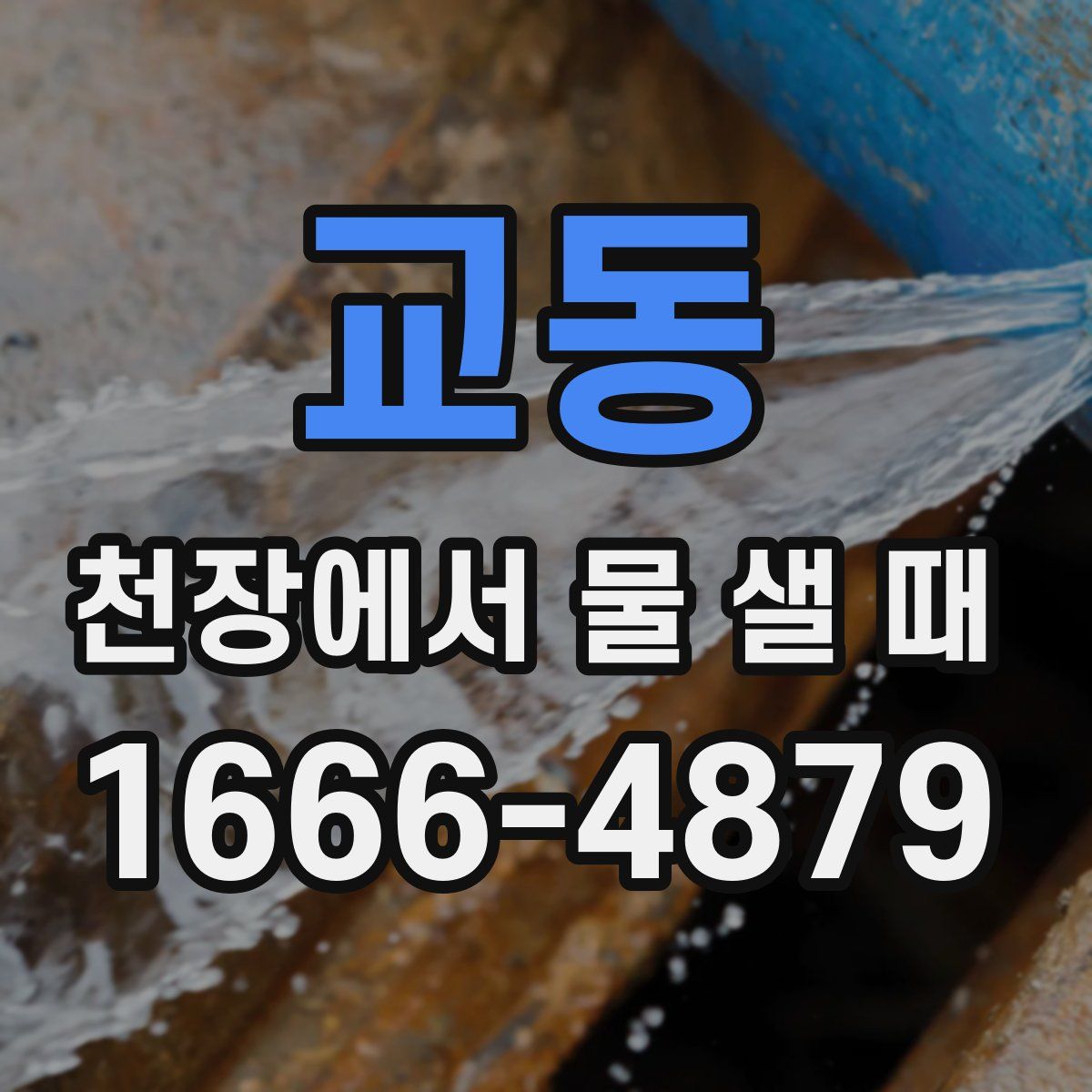 교동 천장에서 물 샐 때