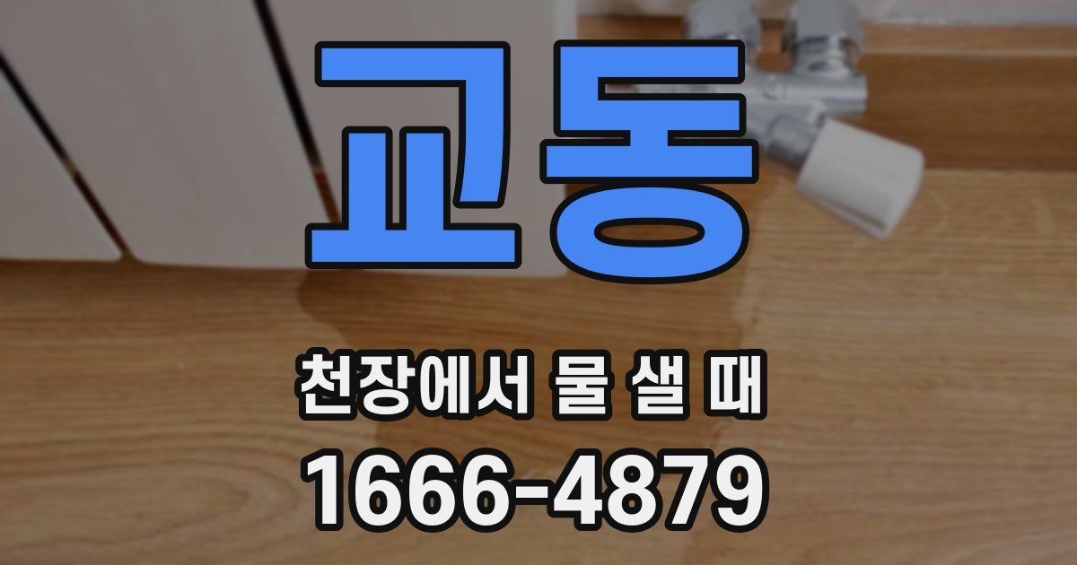 교동 천장에서 물 샐 때