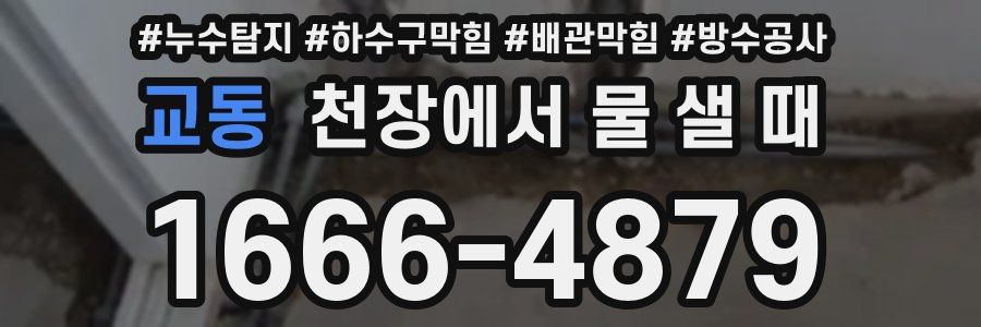 교동 천장에서 물 샐 때