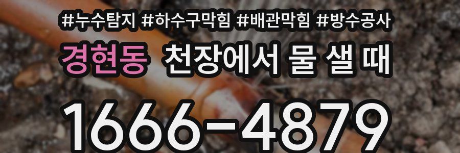 경현동 천장에서 물 샐 때
