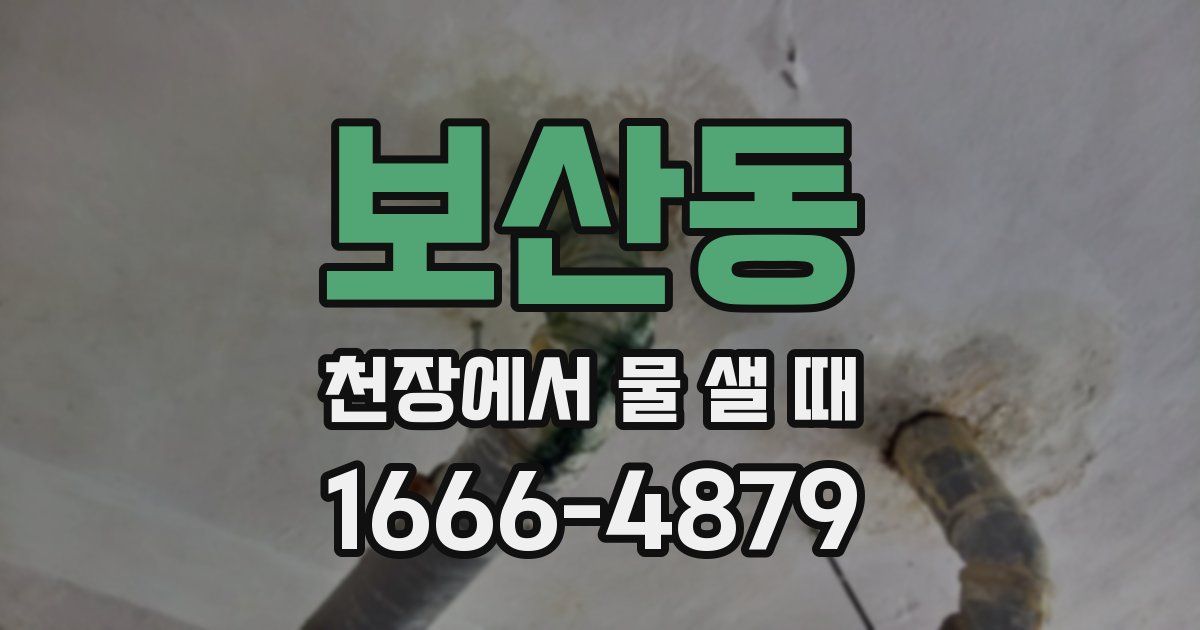 보산동 천장에서 물 샐 때