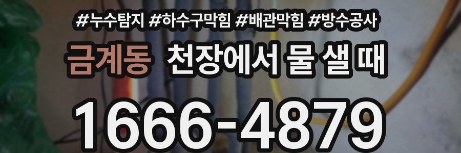 금계동 천장에서 물 샐 때