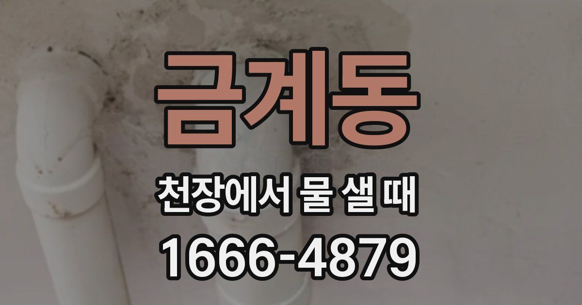 금계동 천장에서 물 샐 때
