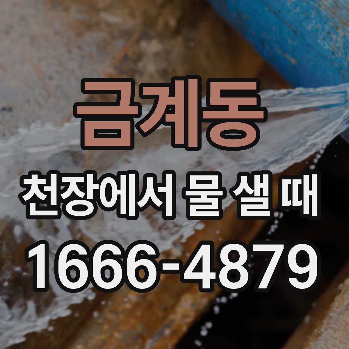 금계동 천장에서 물 샐 때