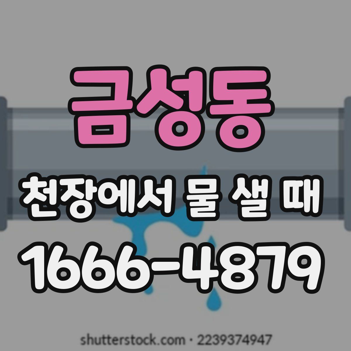 금성동 천장에서 물 샐 때