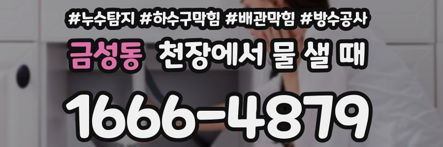 금성동 천장에서 물 샐 때