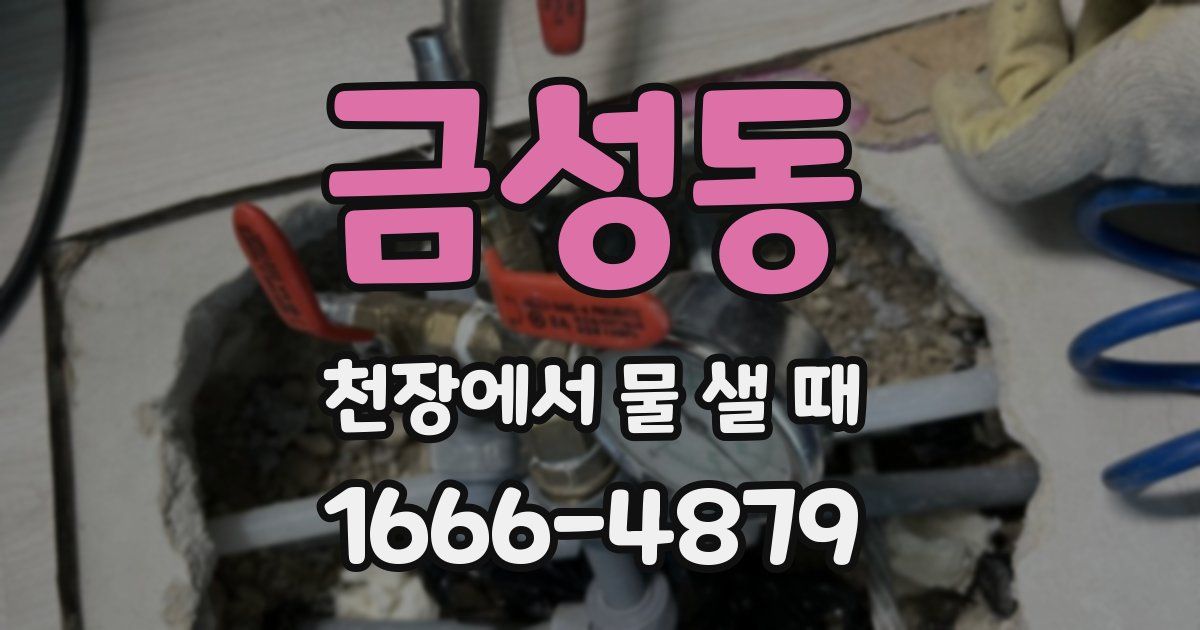 금성동 천장에서 물 샐 때