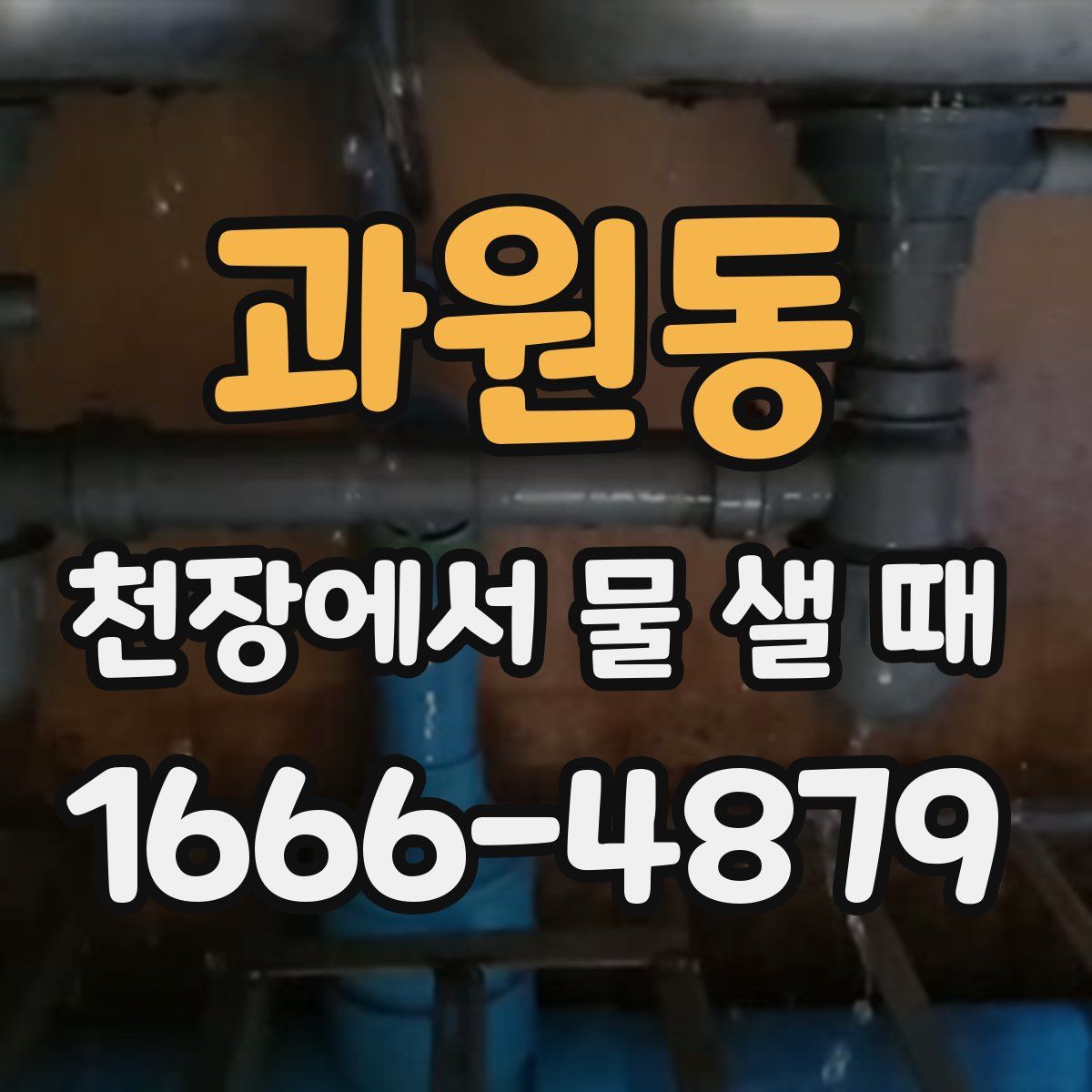 과원동 천장에서 물 샐 때