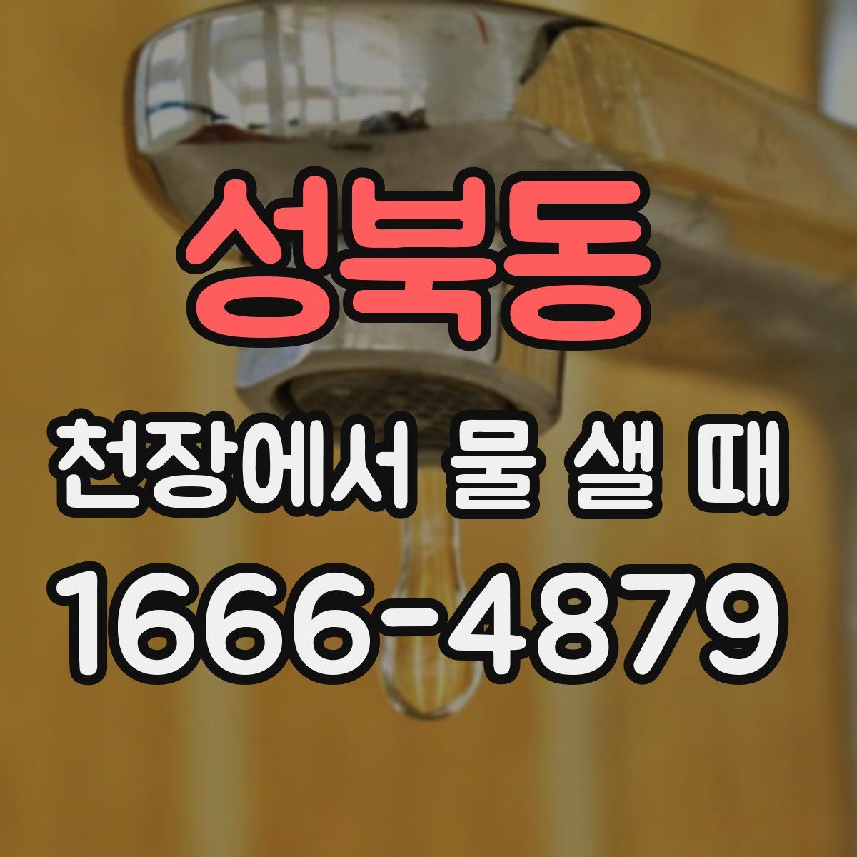 성북동 천장에서 물 샐 때