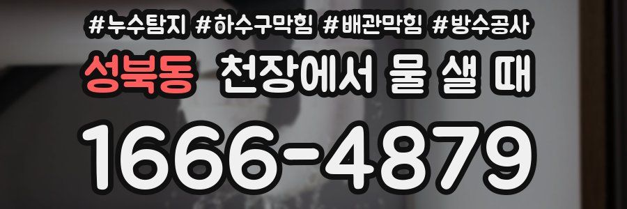 성북동 천장에서 물 샐 때