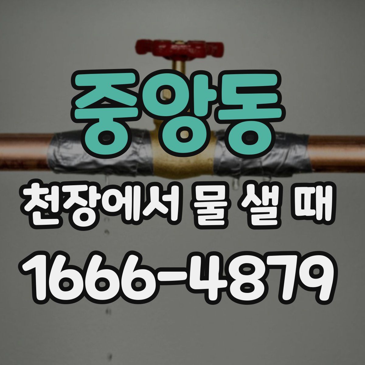 중앙동 천장에서 물 샐 때