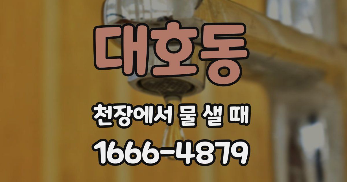 대호동 천장에서 물 샐 때